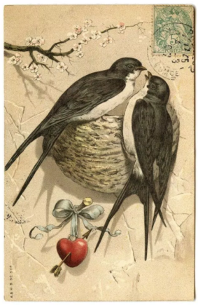 Valentine's Day Birds
