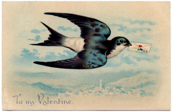 Valentine's Day Bird